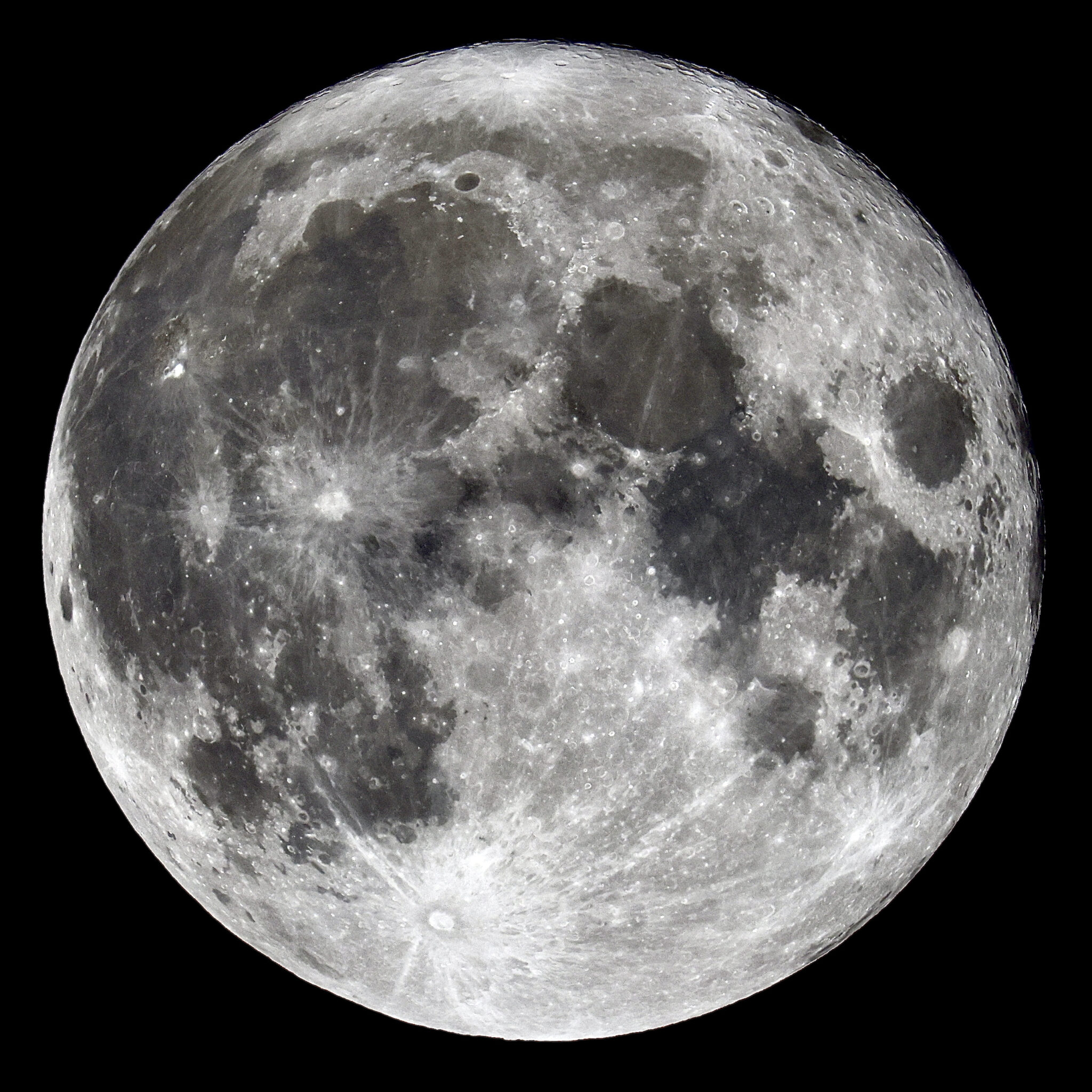Why Moon Live Support LS-100C
