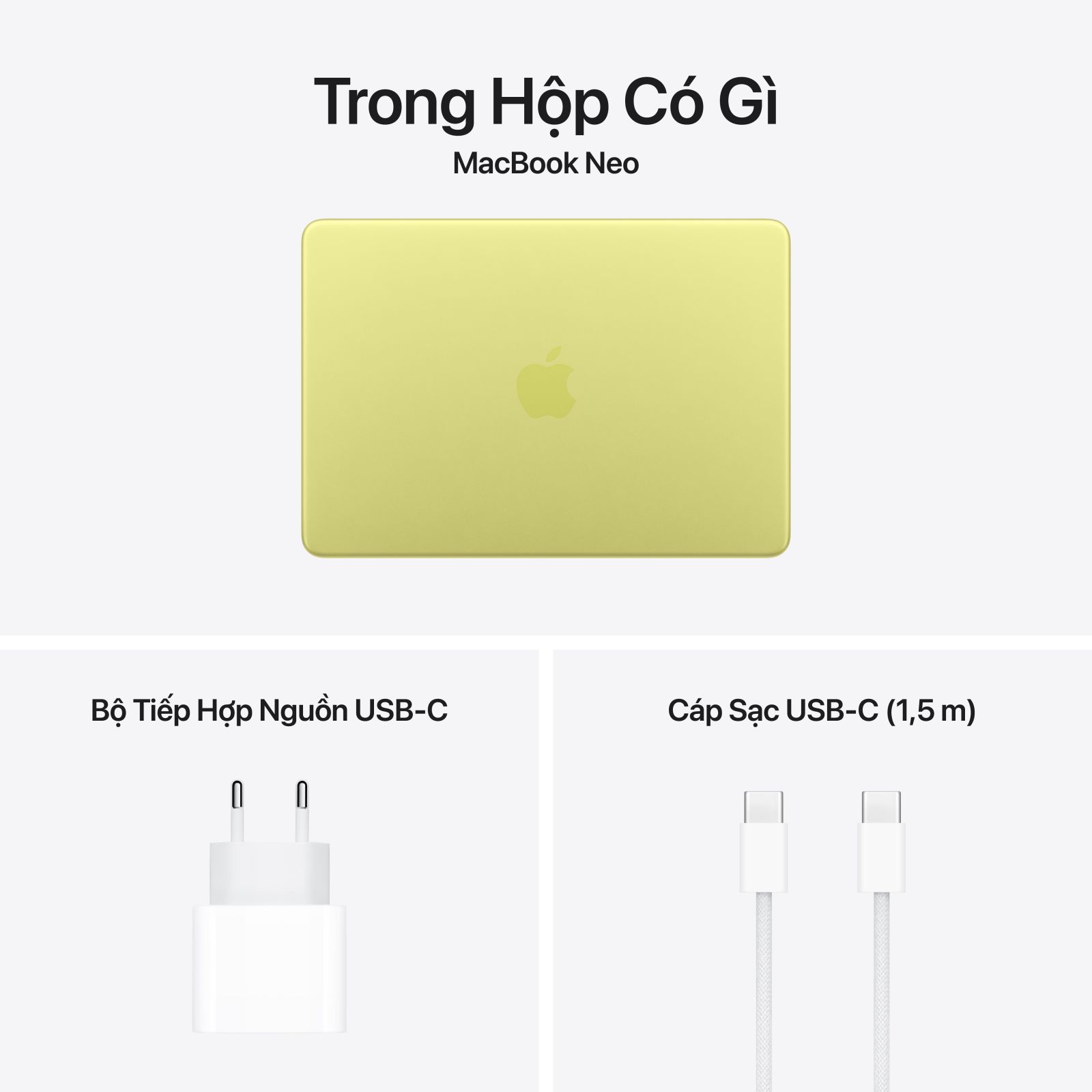 UNIQ Macbook Neo 13 inch Vero Crystal Clear